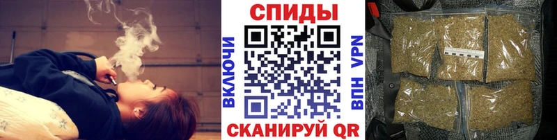 Купить где  Болхов  Бутират BDO 