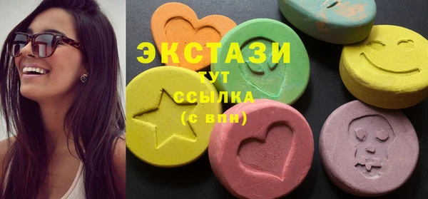 индика Кулебаки