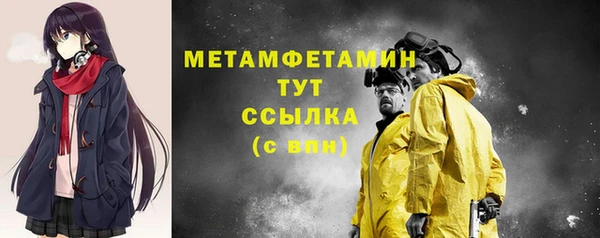 индика Кулебаки