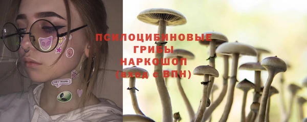 а пвп мука Куйбышев