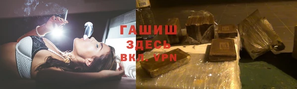 индика Кулебаки