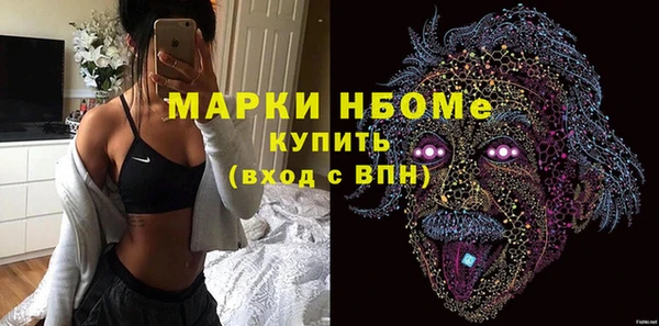 индика Кулебаки
