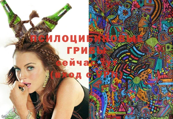 стафф Кукмор