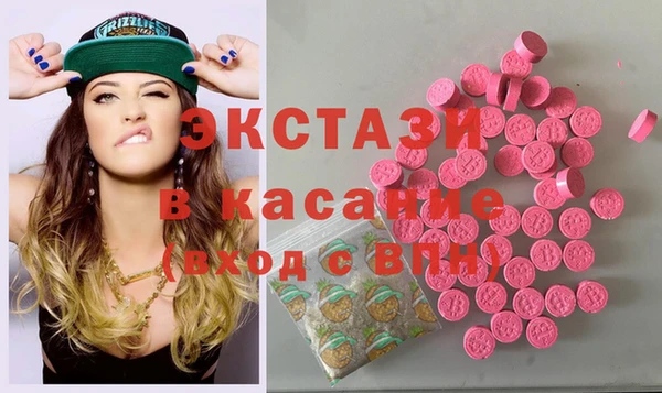 индика Кулебаки