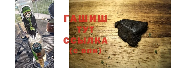 индика Кулебаки