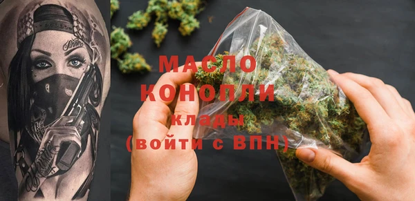 индика Кулебаки