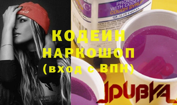индика Кулебаки