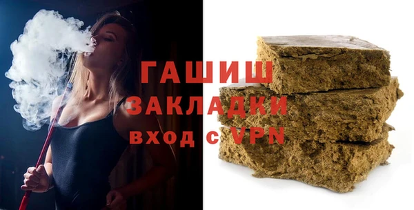 индика Кулебаки