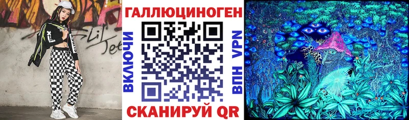Купить где  Болхов  Псилоцибиновые грибы MAGIC MUSHROOMS 